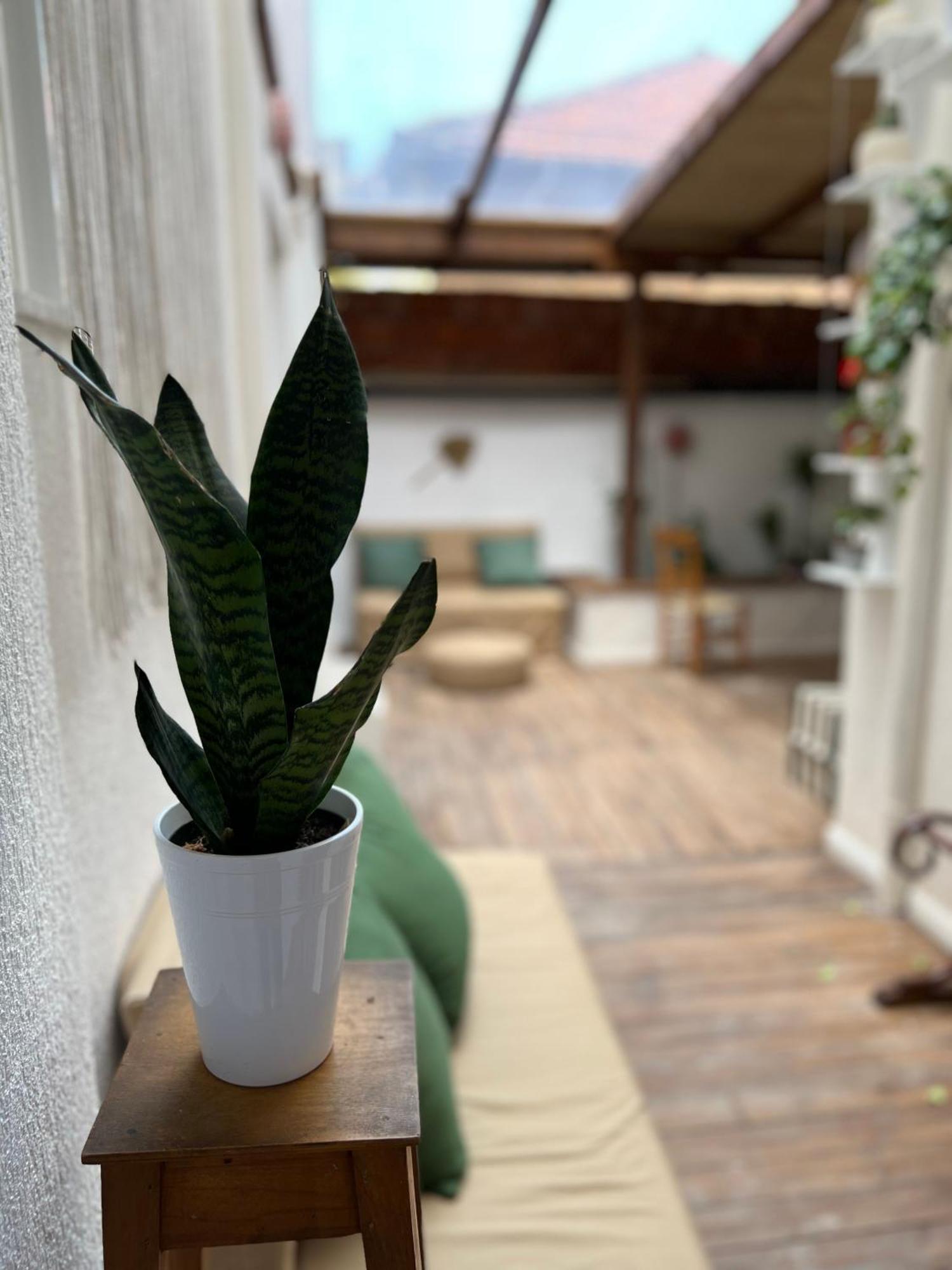 Trip'N'Hostel Chill Zone Tiranë Ngoại thất bức ảnh